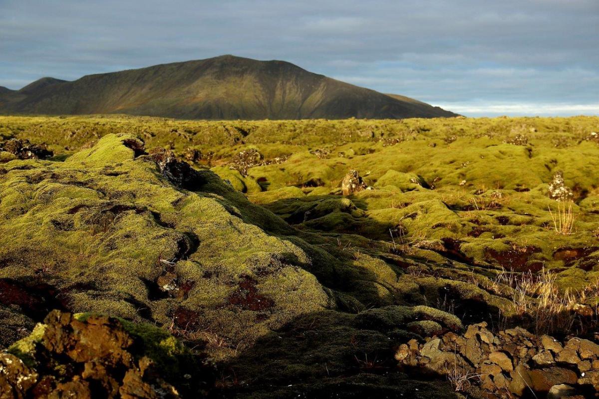 Island Lavafelder Reykjanes