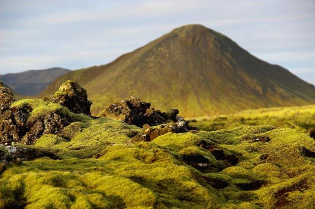 Island Lavafelder Reykjanes