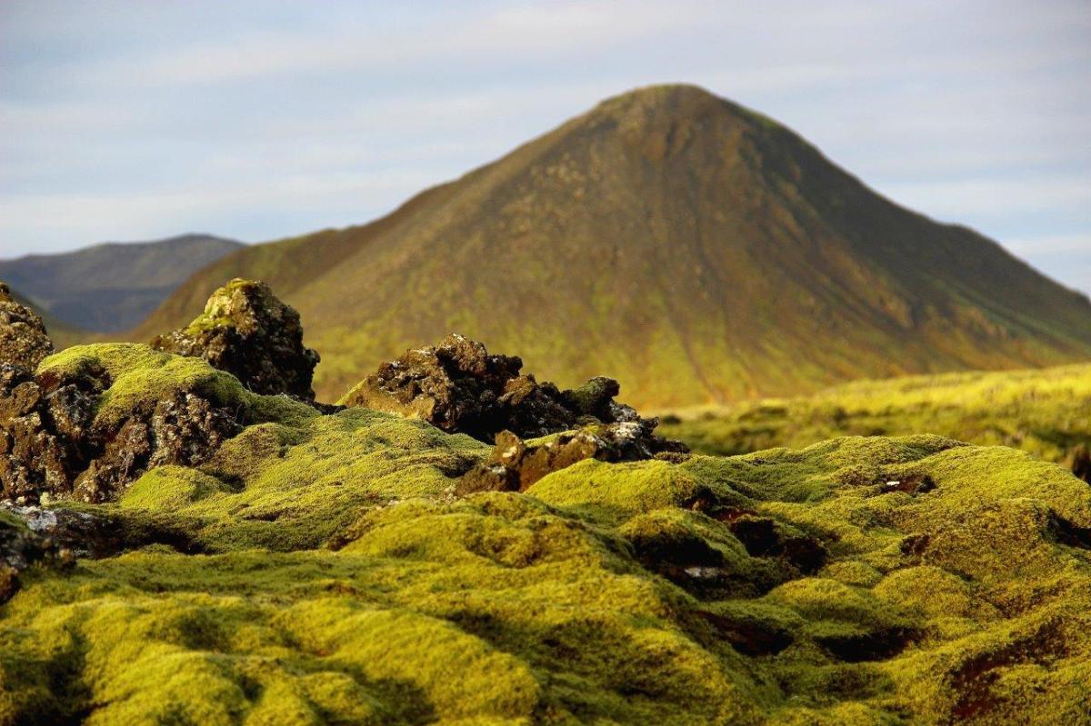Island Lavafelder Reykjanes