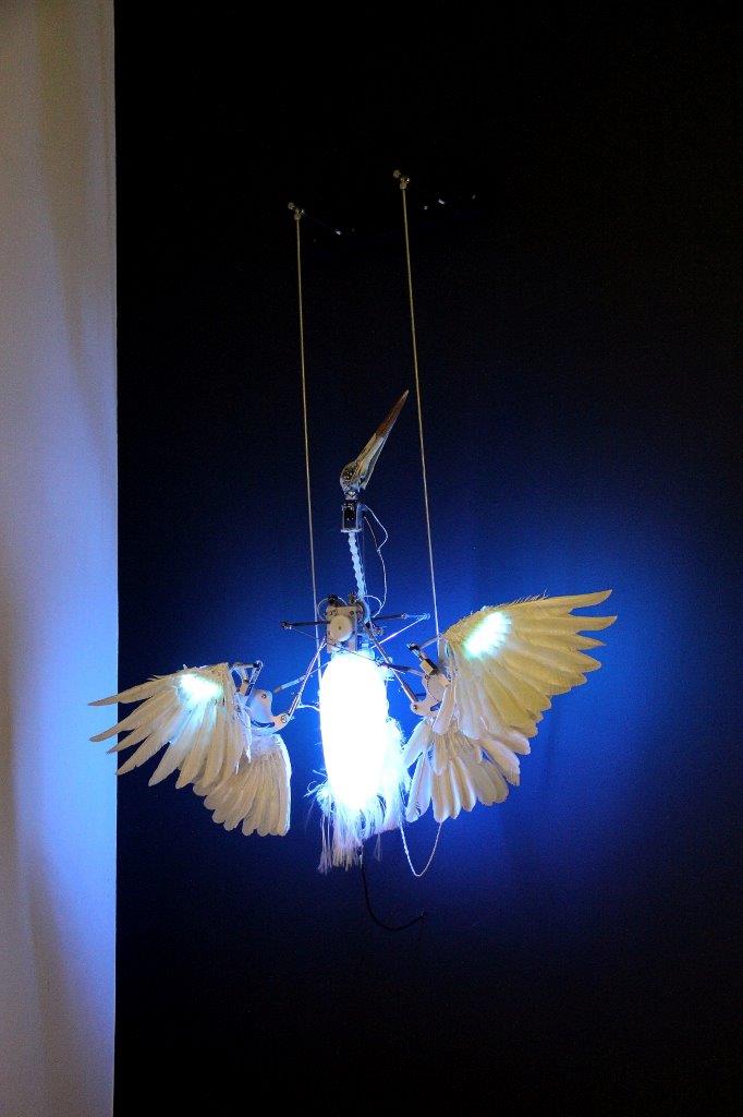 Nature Rewired Engelsvogel