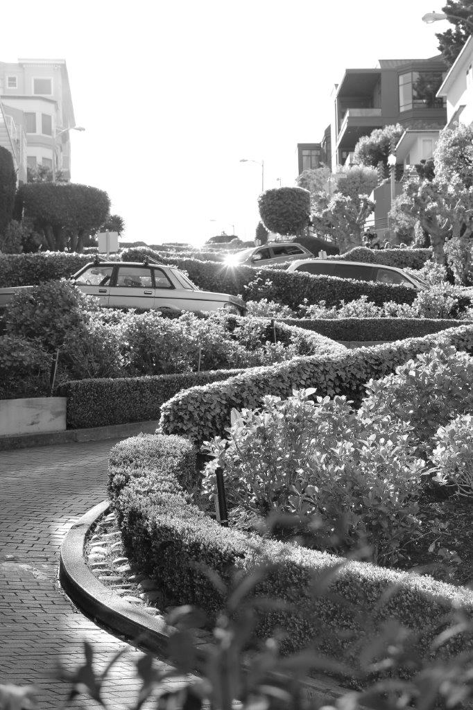 Lombard Street IV