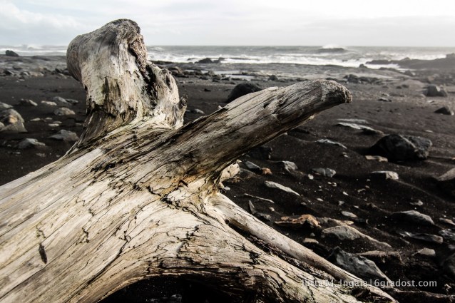 Treibholz am Austurfjara