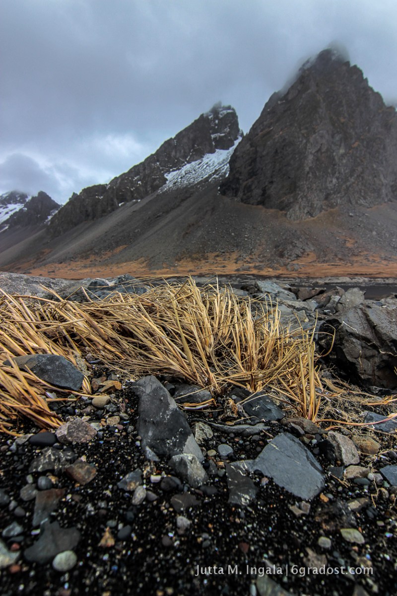 Kambhorn, Lava und Strandhafer
