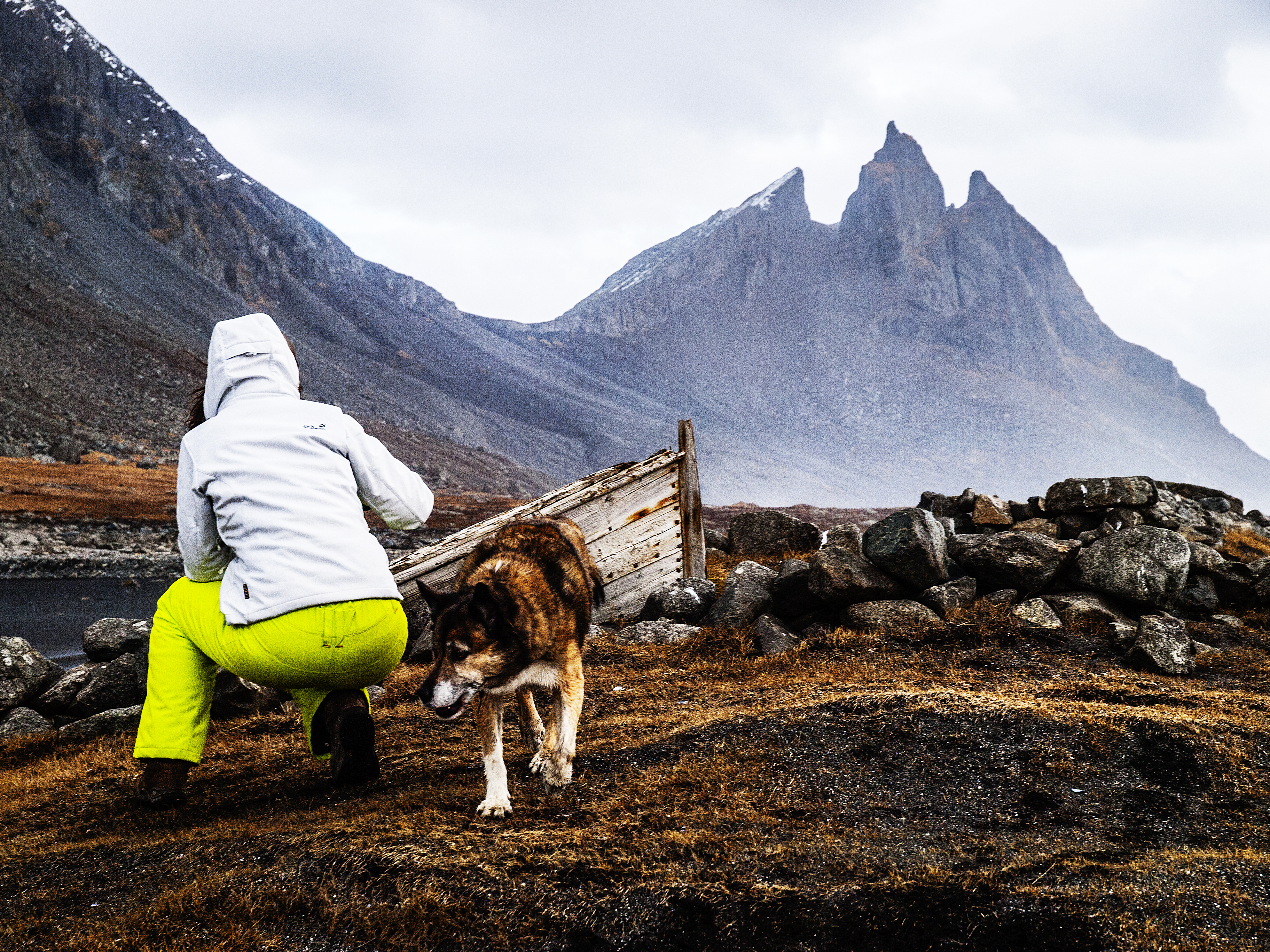 Balto, das alte Boot und ich
