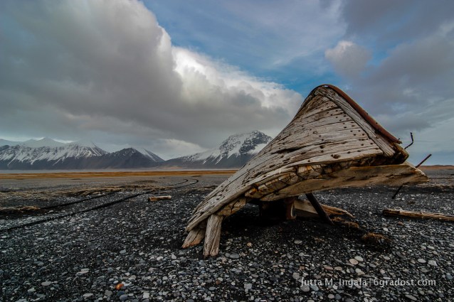 Schiffswrack Borgey am Austurfjara