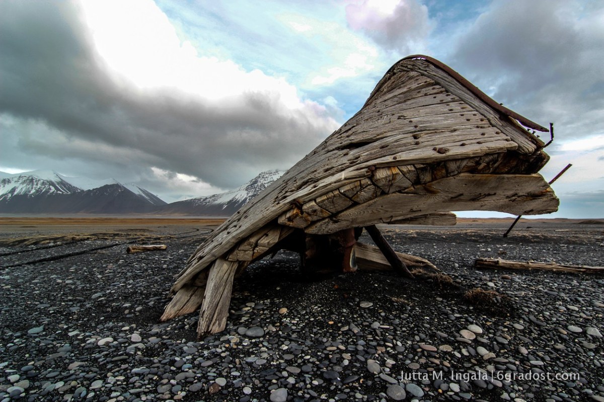 Schiffswrack Borgey am Austurfjara