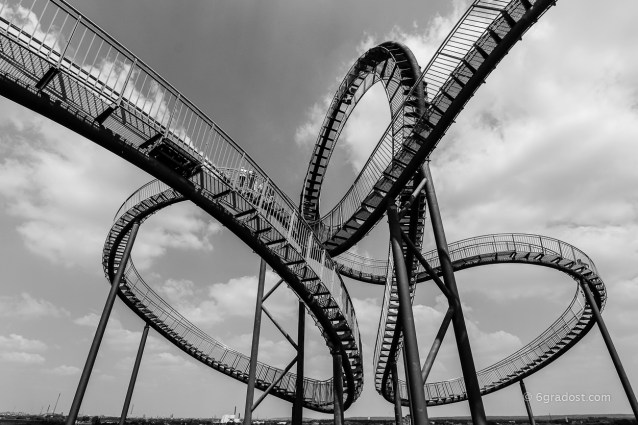 Tiger and Turtle - Looping XL