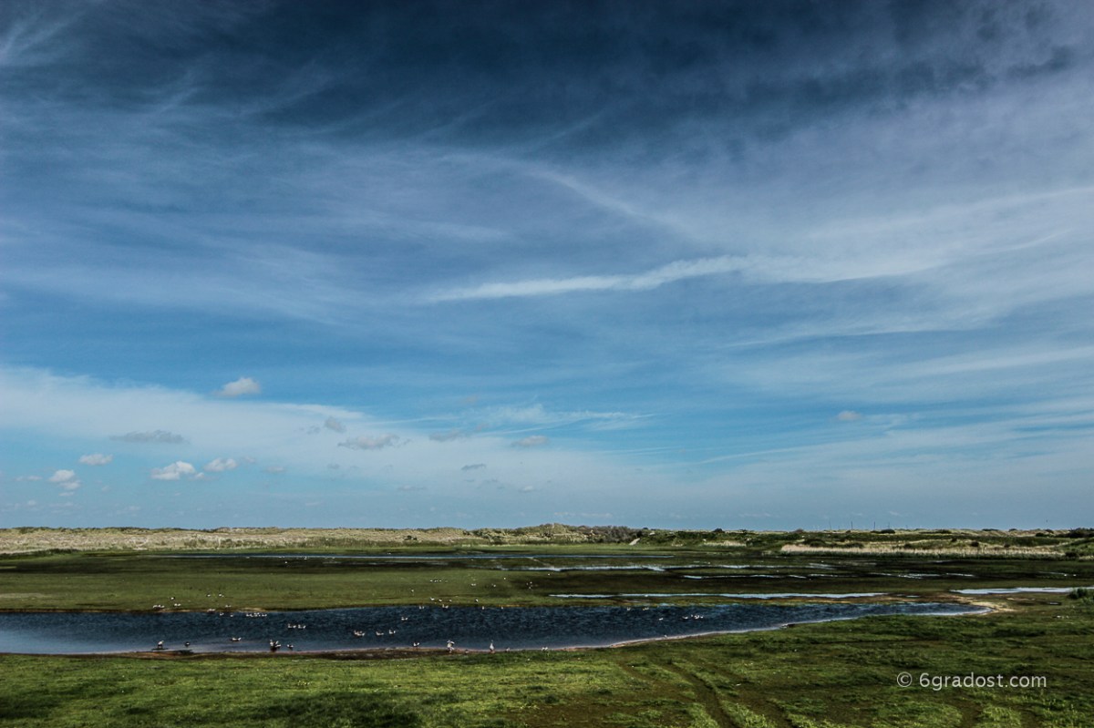 Vogelschutzgebiet bei De Cocksdorp