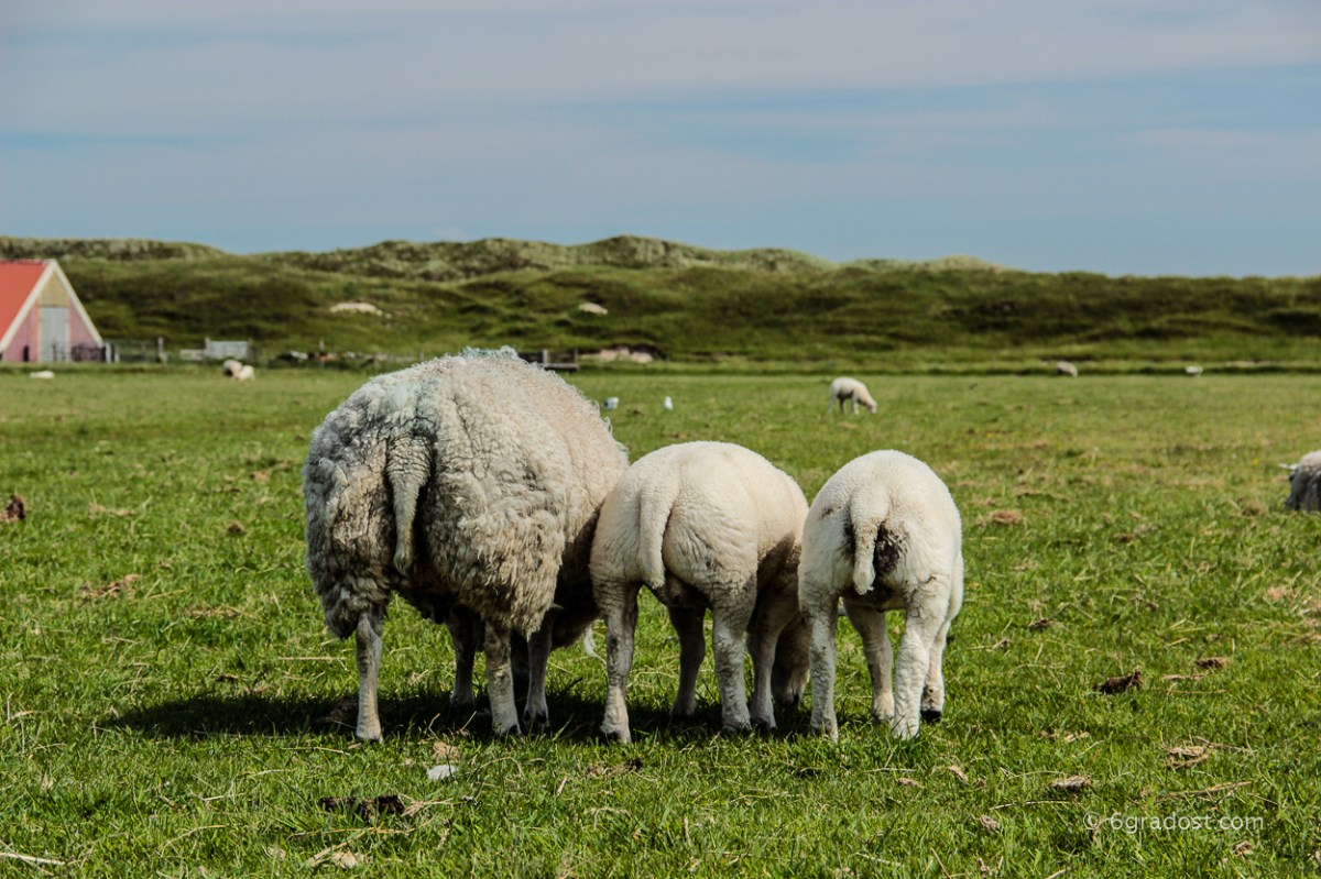 Manchmal zeigen sie dir die kalte Schulter