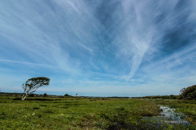 Texel-DeMuj_MG_6295-2