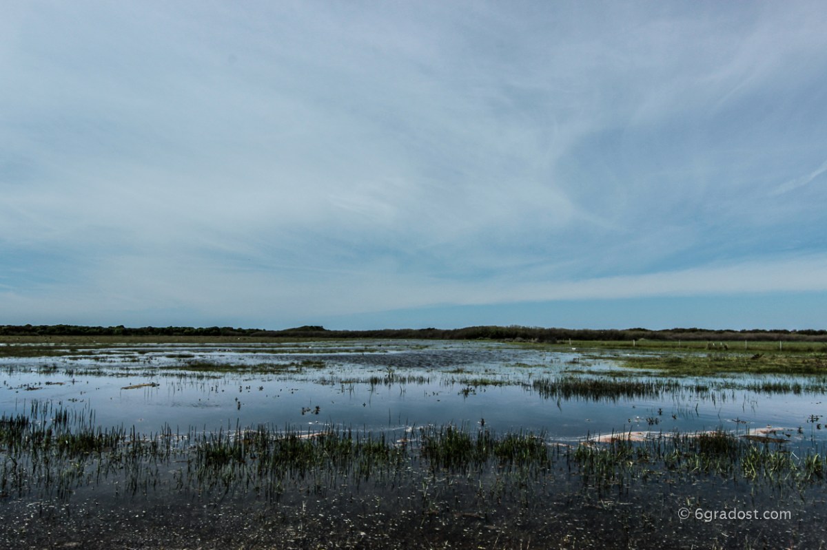 Überbleibsel vergangener Sturmfluten