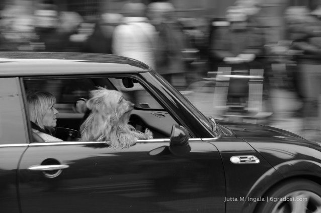 Spritztour durch Amsterdan