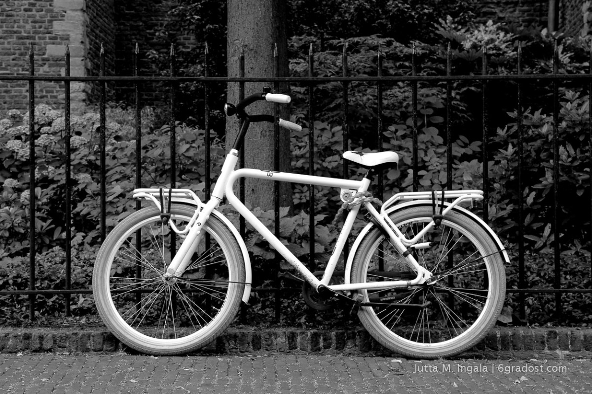 Holland liebt Zweiräder