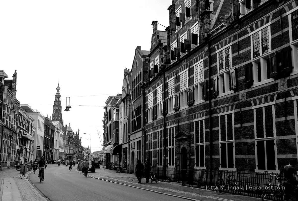 Im Herzen von Leiden