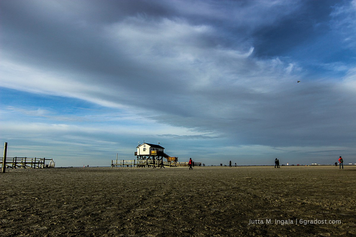 Paradies für Strandläufer