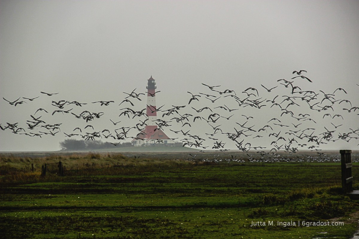Leuchturm von Westerhever