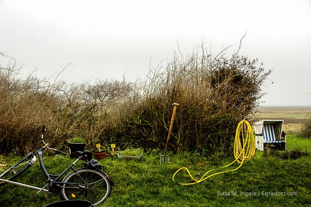 Stilleben am Westerhever Leuchtturm