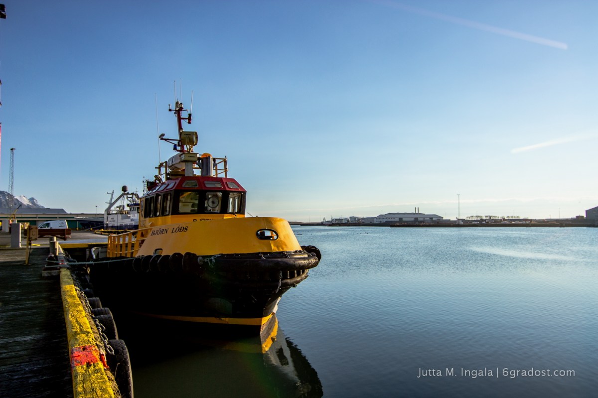 Das knallgelbe Pilotboot