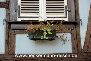 Rendezvous mit Straßburg