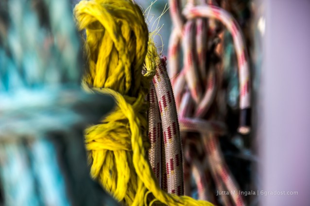 Niederlande-Texel-DeKoog-Strandgut-Jutters_MG_0900