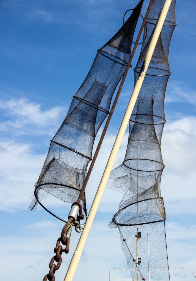 Niederlande-Texel-Oudeschild-Hafen_MG_0823