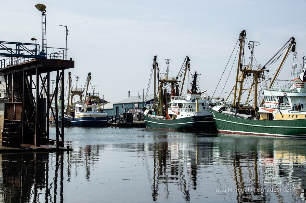 Heute liegen nur noch eine Handvoll Kutter in Oudeschild