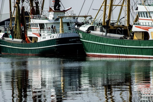 Niederlande-Texel-Oudeschild-Hafen_MG_1098