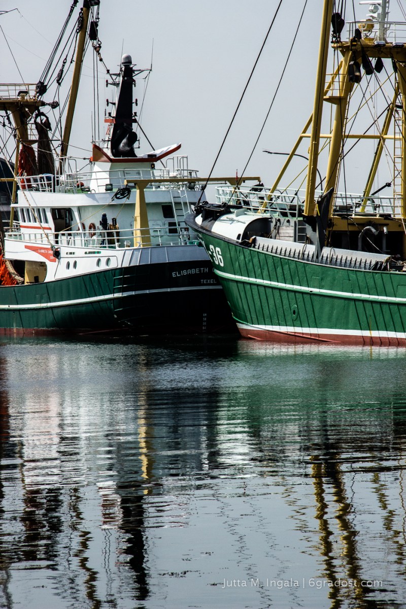 Spiegelung im Hafenbecken