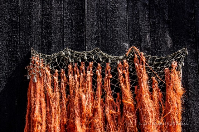 Niederlande-Texel-Oudeschild-KaapSkil-Jutters_MG_1177