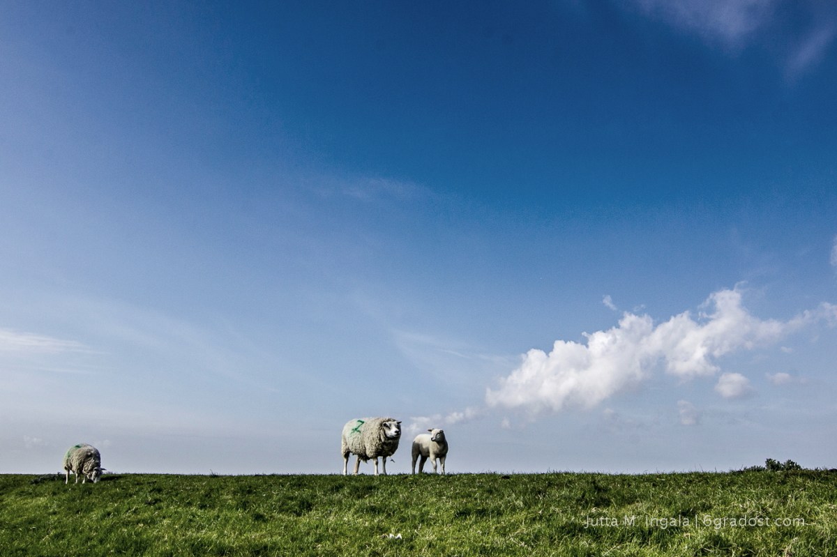 Glotzen gehört zum Naturell