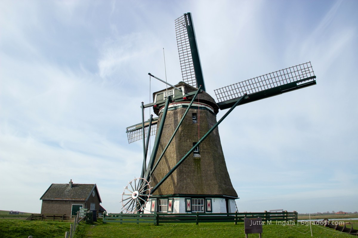 Windmühle Het Noorden bei Utopia
