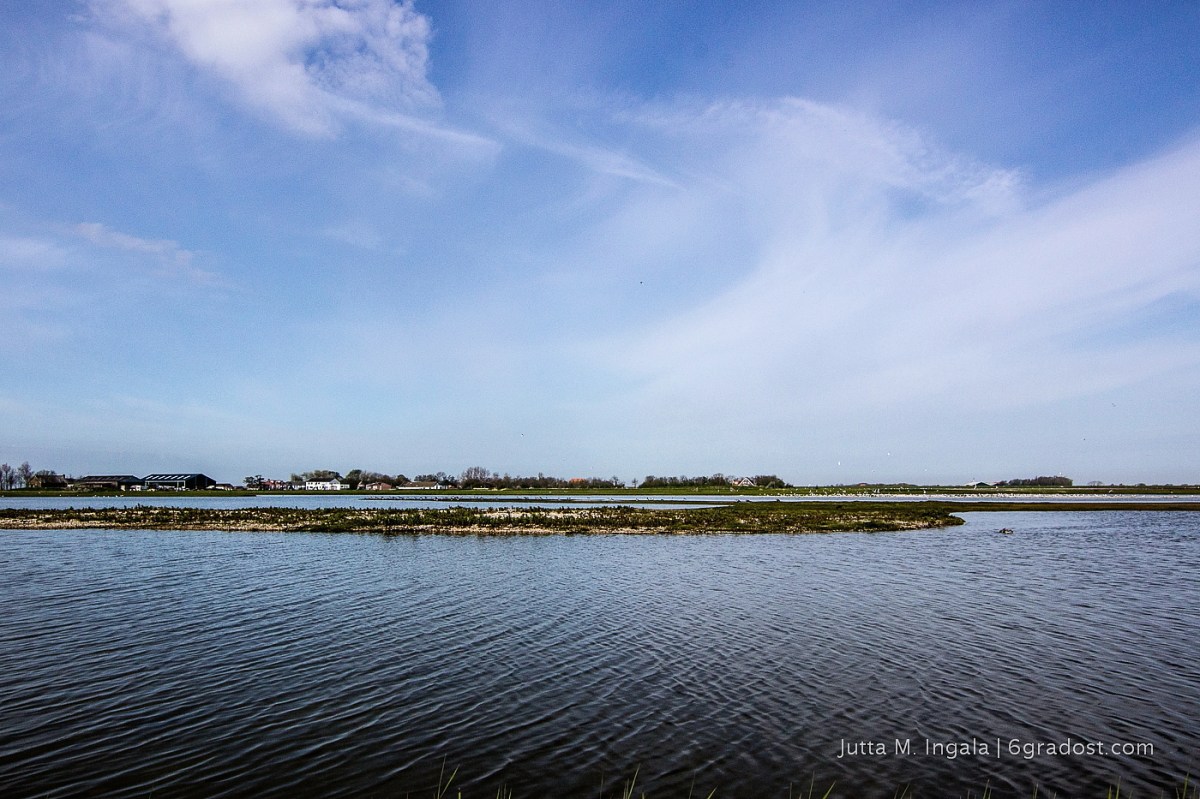 Utopia - renaturiert