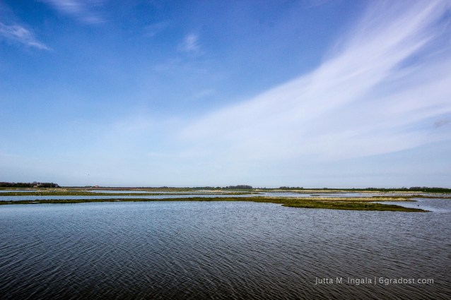Niederlande-Texel-Utopia_MG_1016