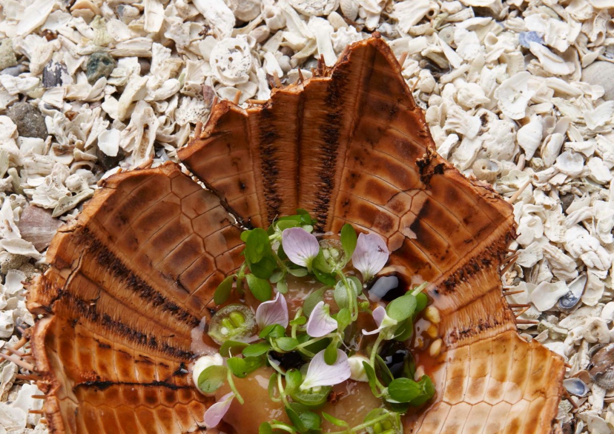 Seeigel und Wildblumen