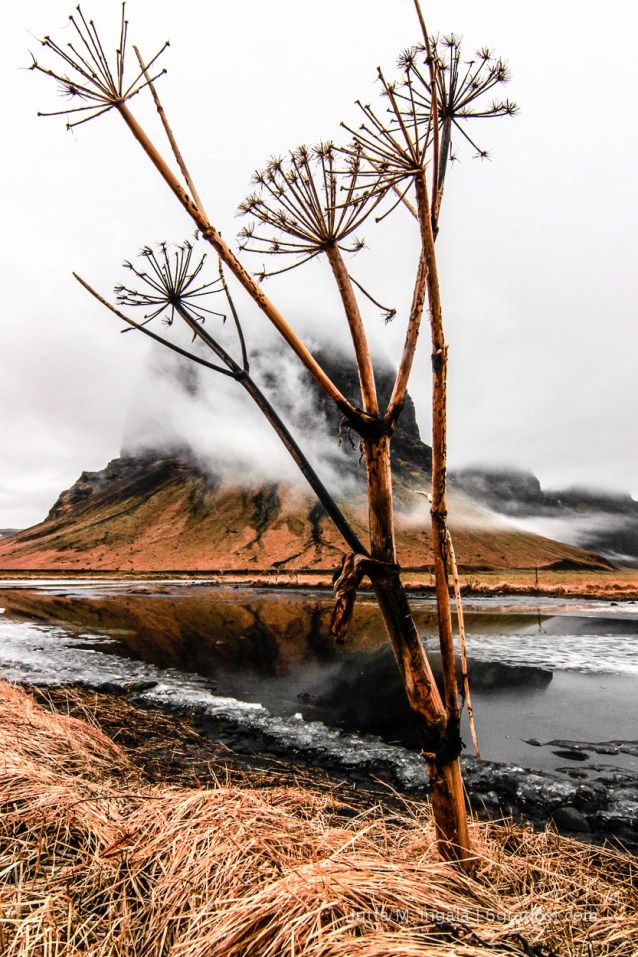 6GradOst_Island_Lopapeysa_Landschaft_1