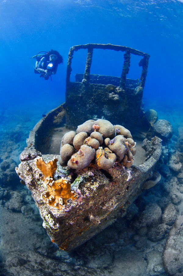 Attraktiver Tauchgrund