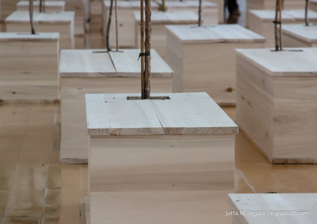 ... umgeben von Vogelgezwitscher.