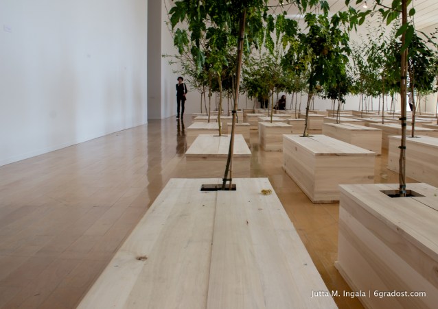 100 Särge aus denen neues Leben erwächst