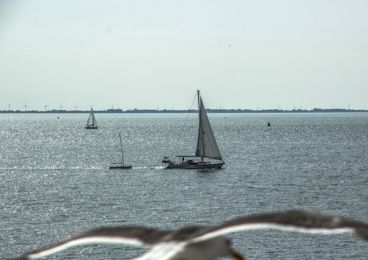 Am Horizont: Den Helder