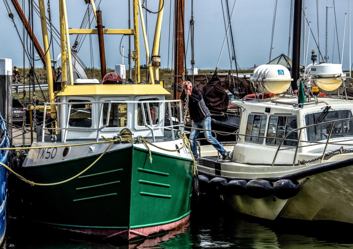 Im Hafen von Oudeschild