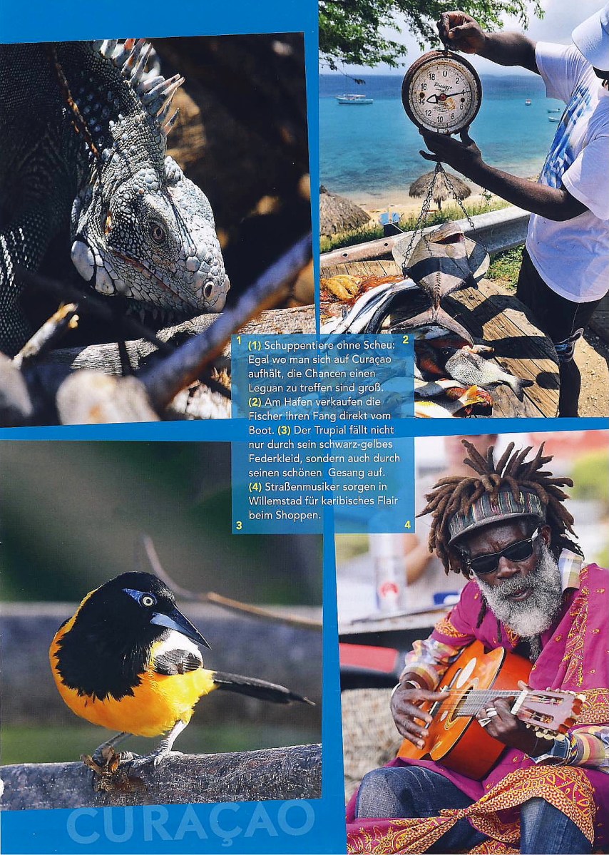 2017_07_Terra_07_Curacao_Jutta_Ingala