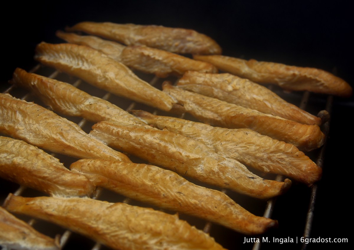 Roter Knurrhahn auf dem Smoker