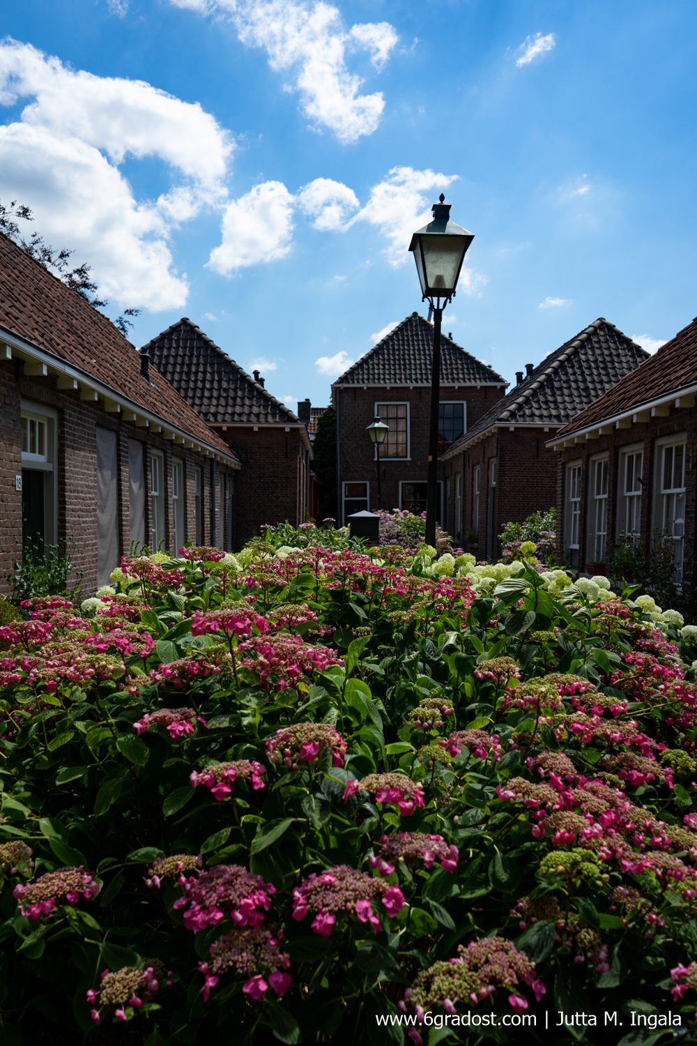 Verborgene Innenhöfe und Oasen der Ruhe: Hofjes